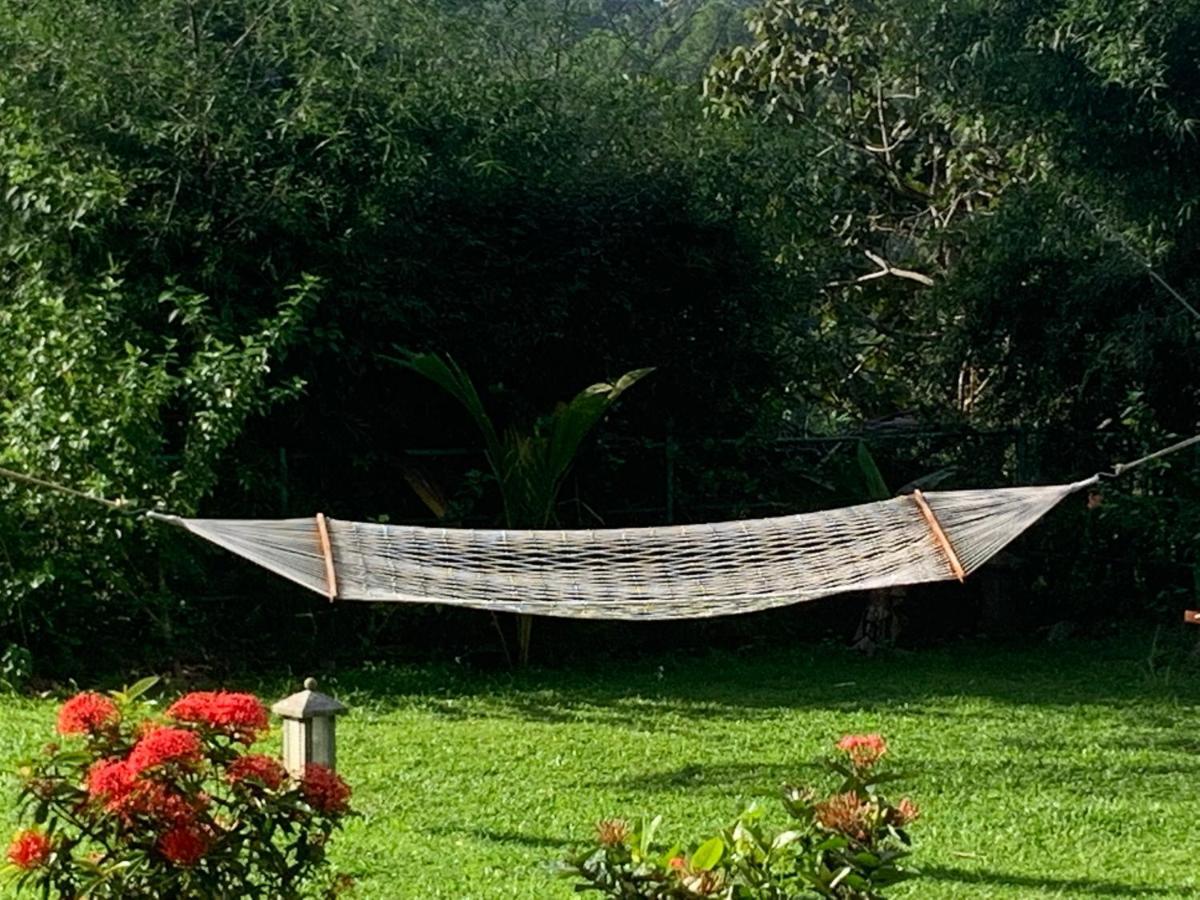 Amara Ayurveda Retreat- Overlooking Evergreen Western Ghats An Ecologically Sustainable Living Space In Kovalam Exterior foto