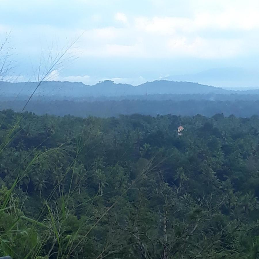 Amara Ayurveda Retreat- Overlooking Evergreen Western Ghats An Ecologically Sustainable Living Space In Kovalam Exterior foto